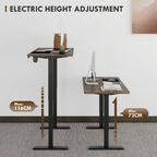 Height Adjustable Electric Standing with 4 Memory Preset Black Vinsetto