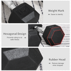 Hexagonal Dumbbells Kit Weight Lifting Exercise for Home Fitness 2x5kg