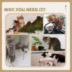 100cm Cat Tree Tower Kitten Climbing Tower W/ Scratching Post Condo  Pawhut