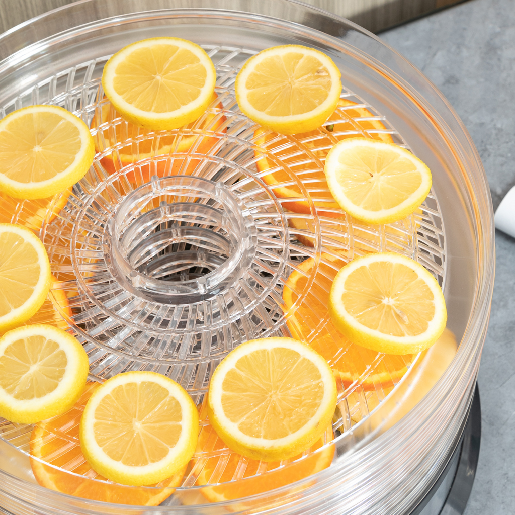 5-Tier Food Dehydrator — 250W, Silver