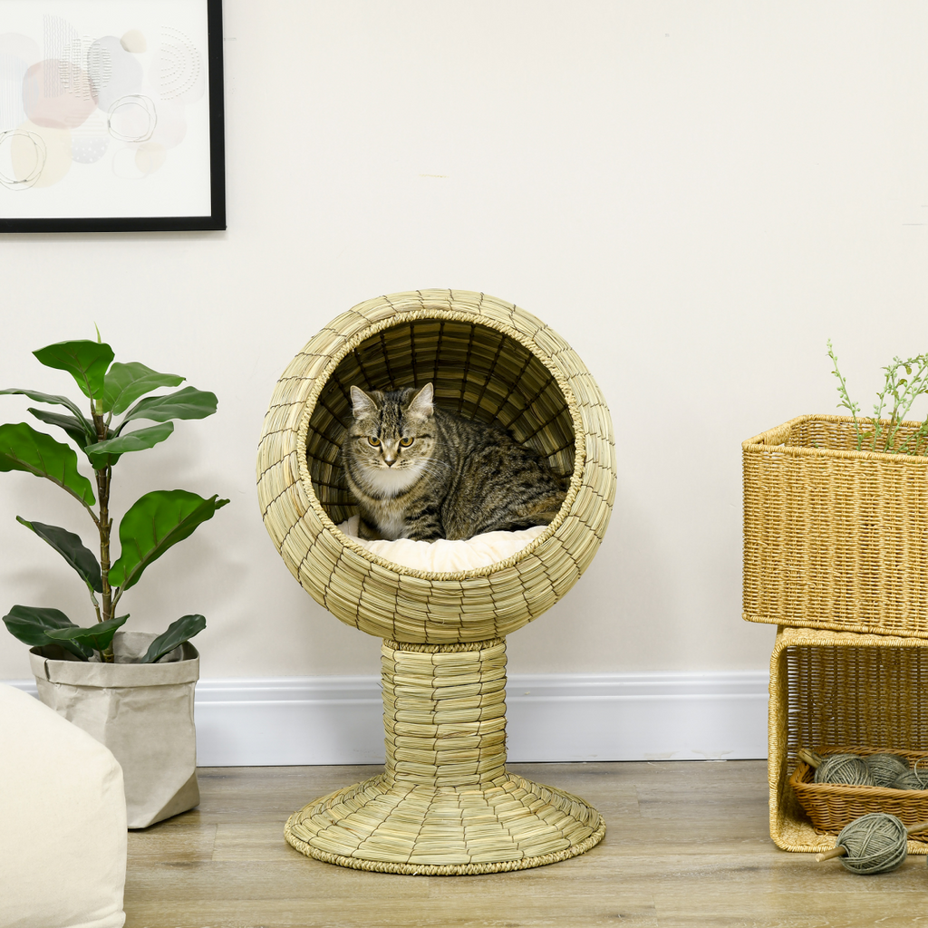 PawHut Raised Cat House, Natural Mat Grass Cat Bed w/ Stand Cushion, 41x 69 cm