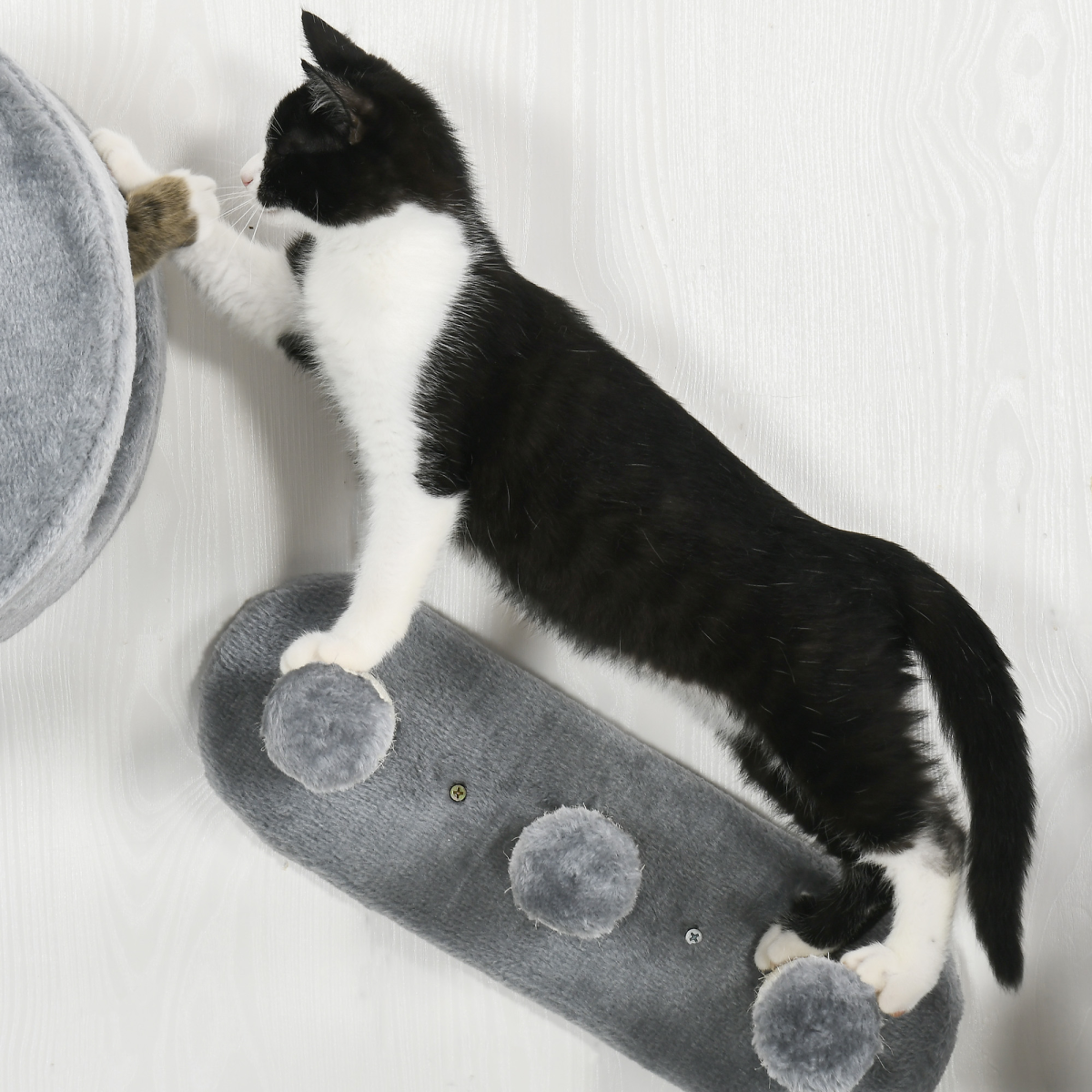 Four-Piece Wall-Mounted Cat Tree with Platforms, Steps, Perch, Cat House - Grey