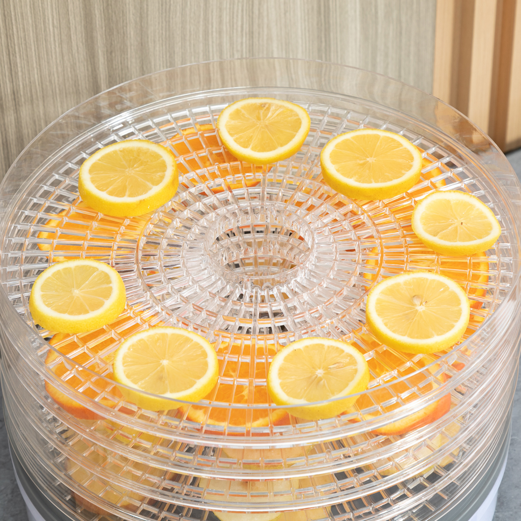 5 Tier Food Dehydrator 245W Stainless Steel Food Dryer Machine Timer LCD White