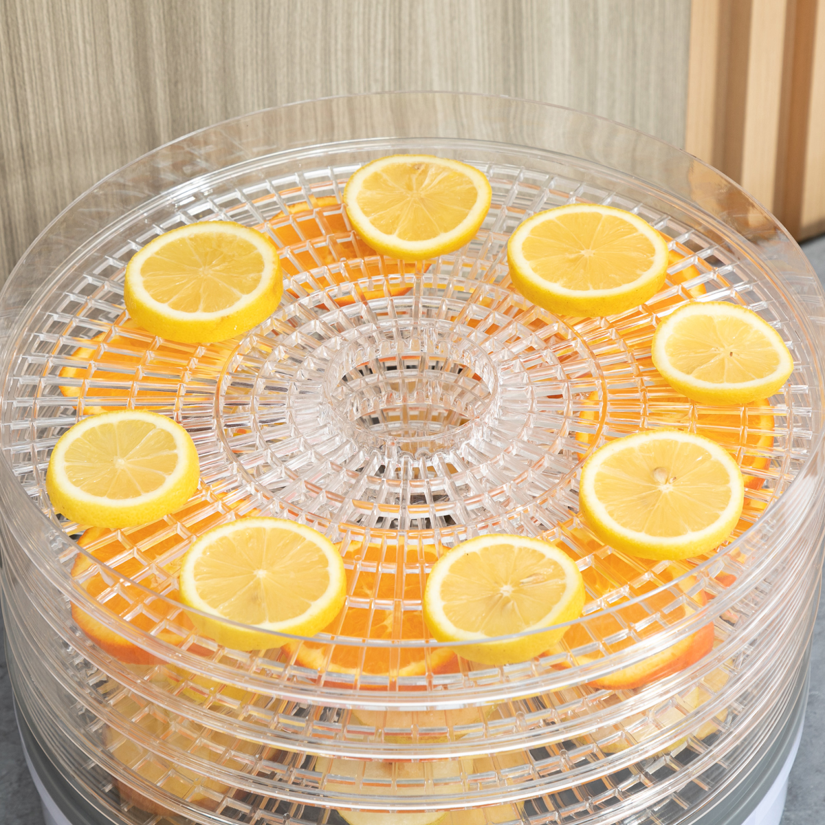 5 Tier Food Dehydrator 245W Stainless Steel Food Dryer Machine Timer LCD White