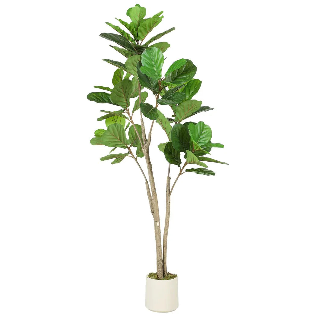 150cm Artificial Ficus Tree - Green