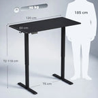 Standing Desk Memory Control Height Adjustable Desk 2 Cable Holes LED Display Sit Stand Desk Black