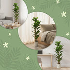 120cm Set of 2 Artificial Fiddle Leaf Fig Trees - Green