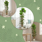 180cm Artificial Fiddle Leaf Fig Tree - Green