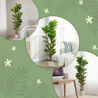 150cm Artificial Fiddle Leaf Fig Tree - Green