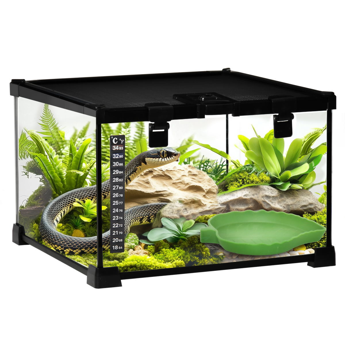 Glass Reptile Terrarium Habitats for Lizards, Frogs, Snake Pawhut