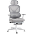 Ergonomic and Adjustable Office Chair - Grey