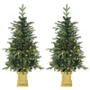 HOMCOM Set of 2 Prelit Christmas Trees with Dual-Colour LEDs, Remote, 4ft Artificial Aspen Fir Battery-Operated, 11 Modes, Pot