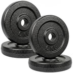 SPORTNOW Weight Plates Set, 1"/2.5cm Weight Disc Pair, 4 x 5kg Metal Dumbbell/Barbell Plates for Home Gym